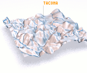 3d view of Tacoma