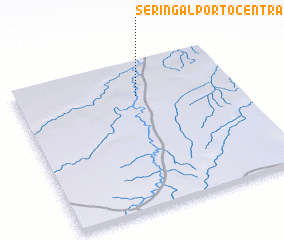 3d view of Seringal Porto Central