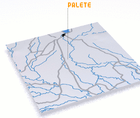 3d view of Palete