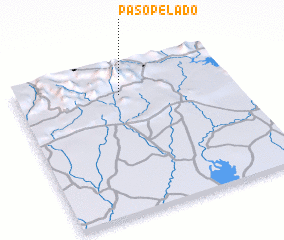 3d view of Paso Pelado