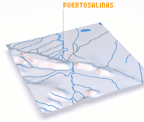 3d view of Puerto Salinas