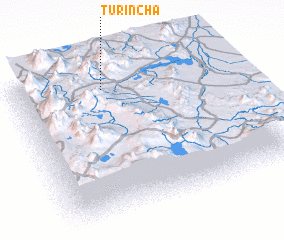 3d view of Turincha