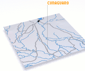 3d view of Cunaguaro