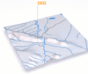 3d view of Susi