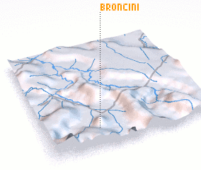 3d view of Broncini