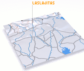 3d view of Las Lajitas