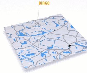 3d view of Bingo