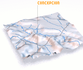 3d view of Concepción