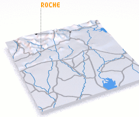 3d view of Roche