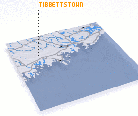 3d view of Tibbettstown