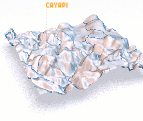 3d view of Cayapi