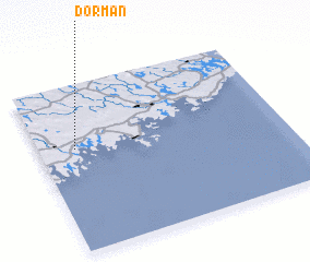 3d view of Dorman