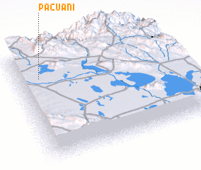 3d view of Pacuani