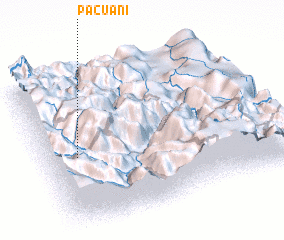 3d view of Pacuani