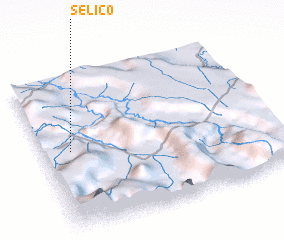 3d view of Selico