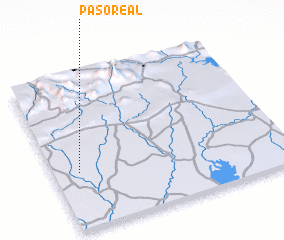 3d view of Paso Real