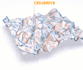 3d view of Chojahuya