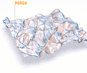 3d view of Pongo