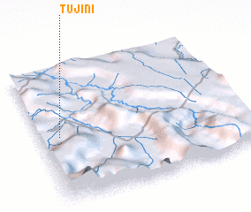 3d view of Tujini