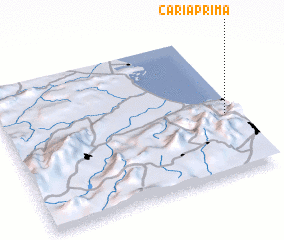 3d view of Cariaprima