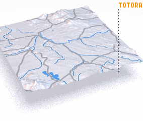 3d view of Totora