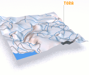 3d view of Tora