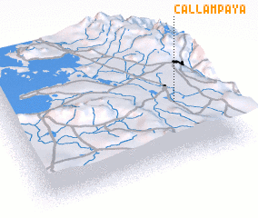 3d view of Callampaya