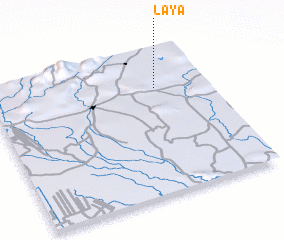 3d view of Laya