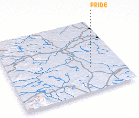 3d view of Pride