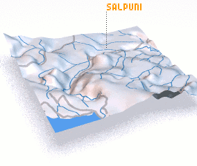 3d view of Salpuni