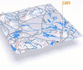 3d view of Capi