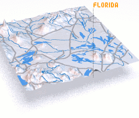 3d view of Florida