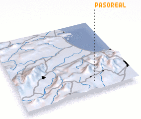 3d view of Paso Real