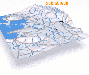 3d view of Suriguigua