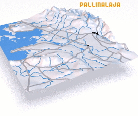 3d view of Pallinalaja