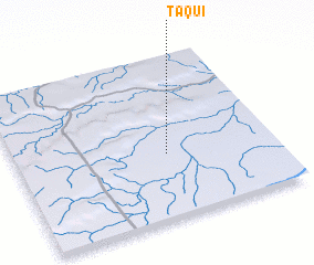 3d view of Taqui