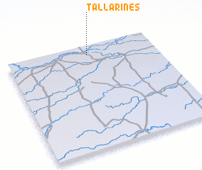 3d view of Tallarines