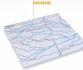 3d view of Paso Real