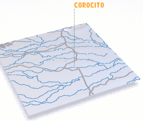 3d view of Corocito