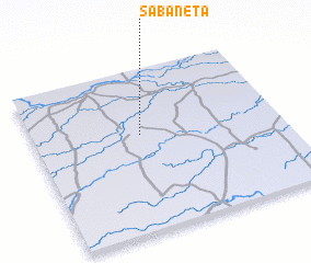 3d view of Sabaneta