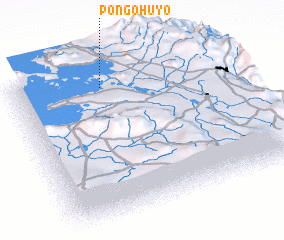 3d view of Pongohuyo