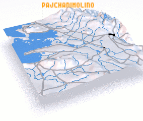 3d view of Pajchani Molino