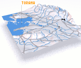 3d view of Torama