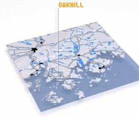 3d view of Oak Hill