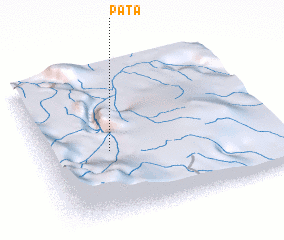 3d view of Pata