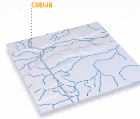 3d view of Cobija
