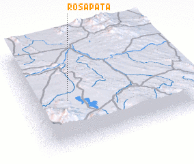 3d view of Rosapata