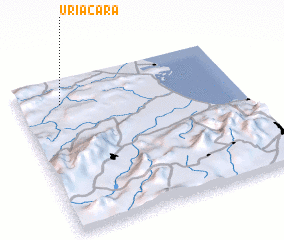 3d view of Uriacara