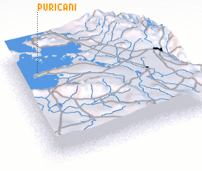 3d view of Puricani