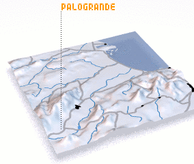 3d view of Palo Grande